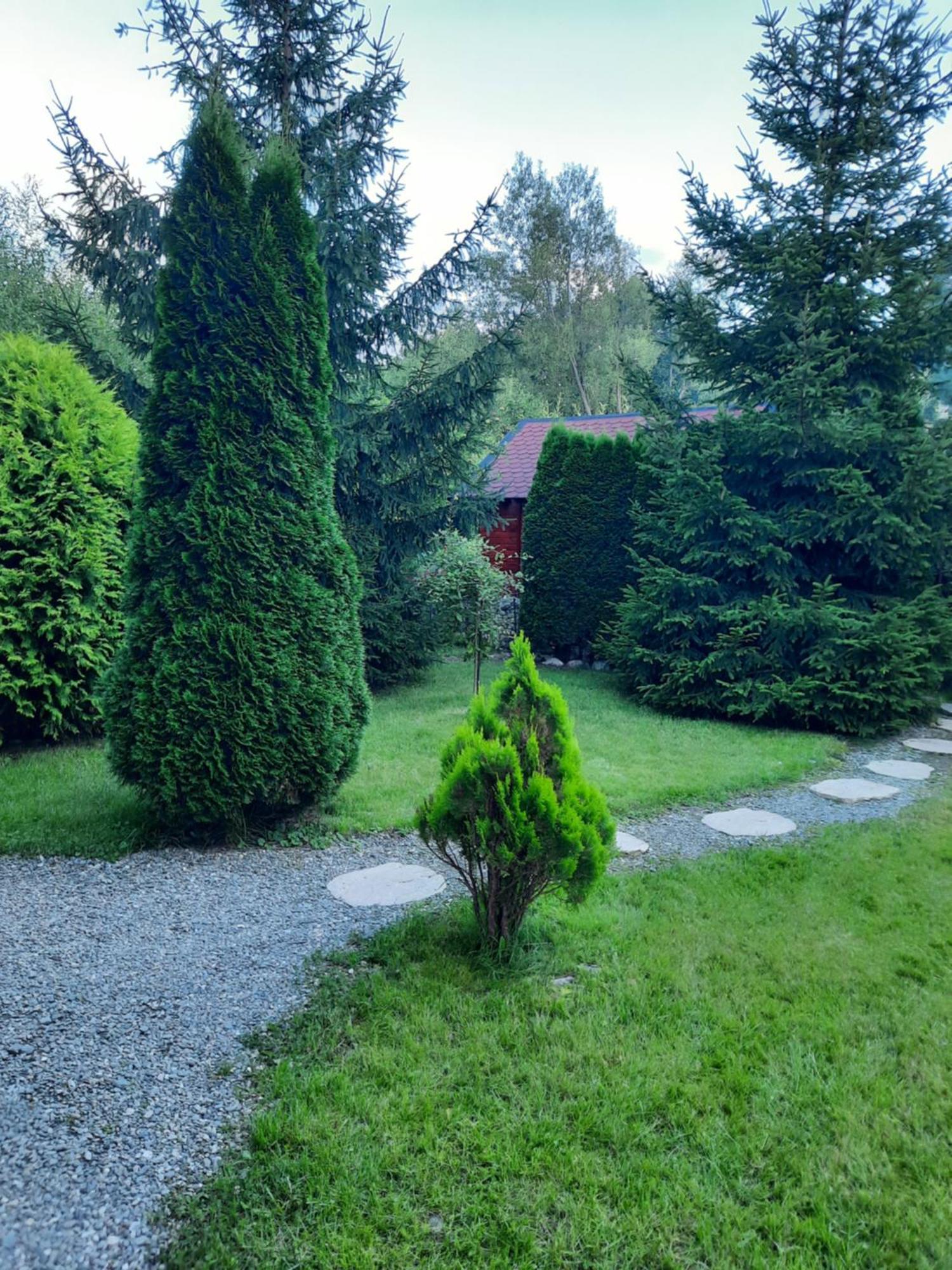Villa Colt De Rai Bran  Exterior foto